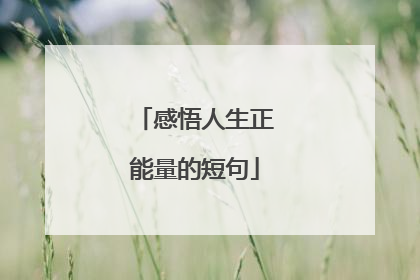 感悟人生正能量的短句