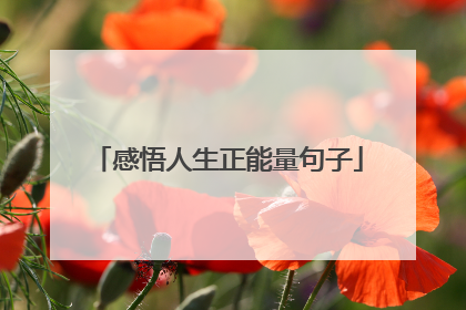 感悟人生正能量句子