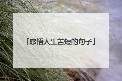 感悟人生苦短的句子