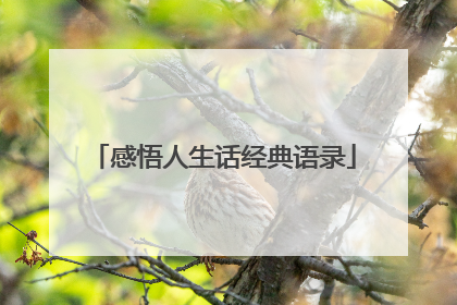 感悟人生话经典语录