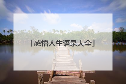 感悟人生语录大全