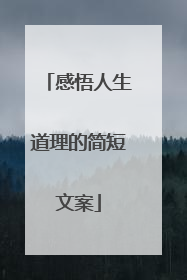感悟人生道理的简短文案