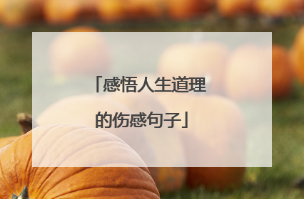 感悟人生道理的伤感句子
