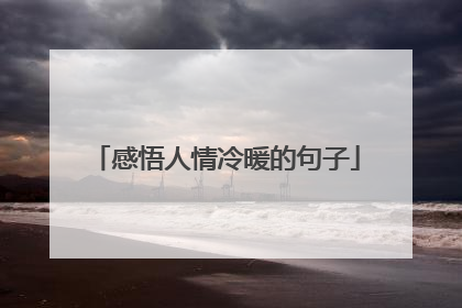 感悟人情冷暖的句子