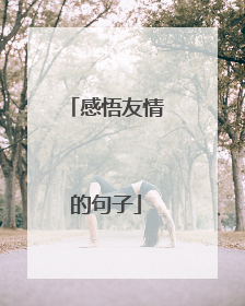 感悟友情的句子