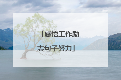 感悟工作励志句子努力