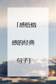 感悟情感的经典句子