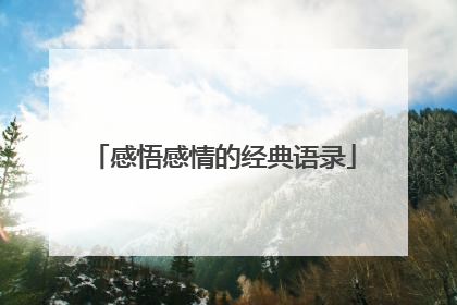 感悟感情的经典语录