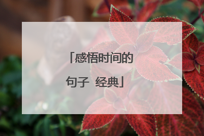 感悟时间的句子 经典