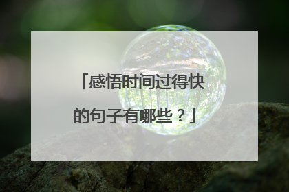 感悟时间过得快的句子有哪些？