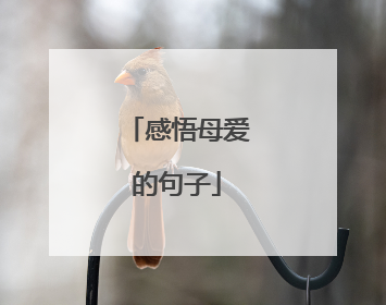 感悟母爱的句子