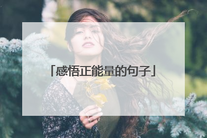 感悟正能量的句子