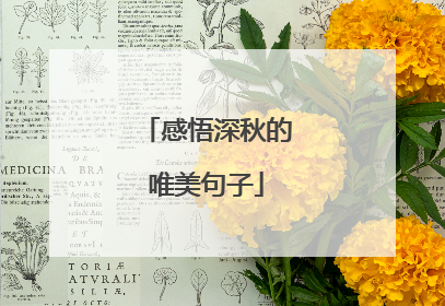 感悟深秋的唯美句子