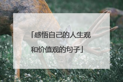 感悟自己的人生观和价值观的句子