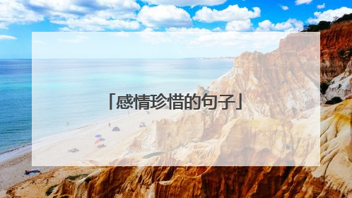 感情珍惜的句子