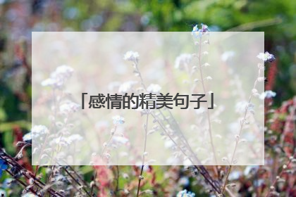 感情的精美句子