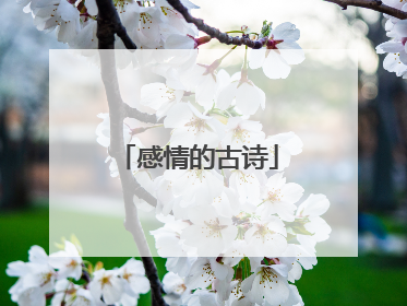 感情的古诗