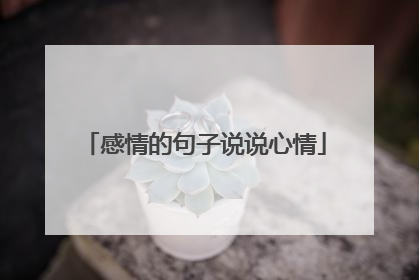 感情的句子说说心情
