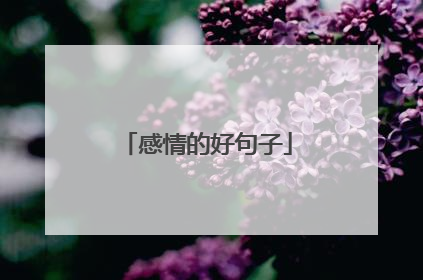 感情的好句子