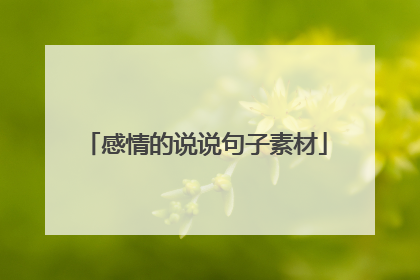 感情的说说句子素材