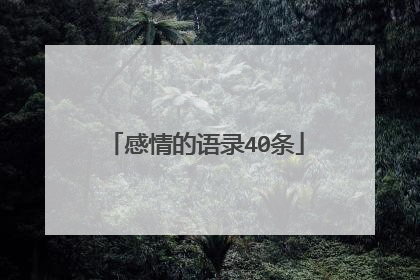 感情的语录40条