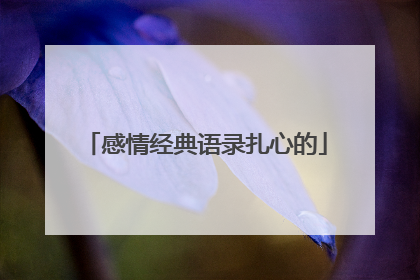 感情经典语录扎心的