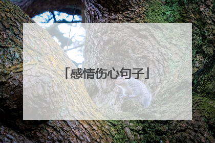 感情伤心句子