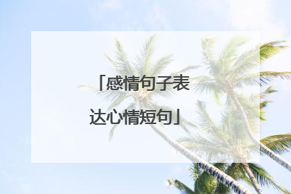 感情句子表达心情短句