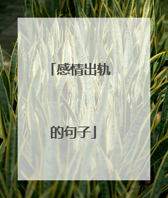 感情出轨的句子