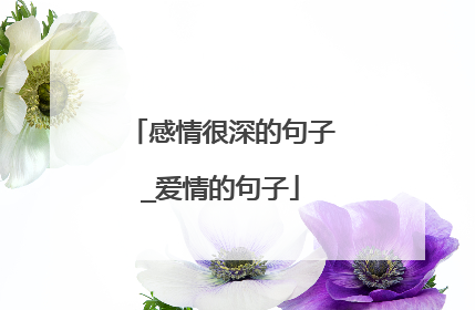 感情很深的句子_爱情的句子
