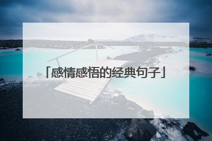 感情感悟的经典句子