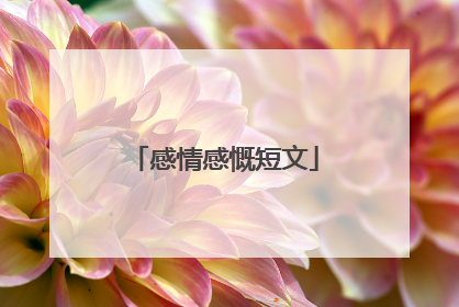 感情感慨短文