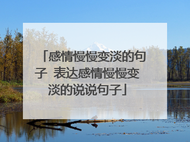 感情慢慢变淡的句子 表达感情慢慢变淡的说说句子