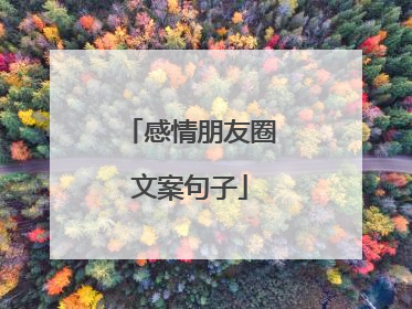 感情朋友圈文案句子