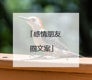 感情朋友圈文案