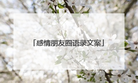 感情朋友圈语录文案
