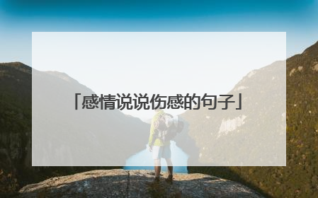 感情说说伤感的句子
