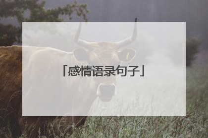 感情语录句子