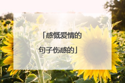 感慨爱情的句子伤感的