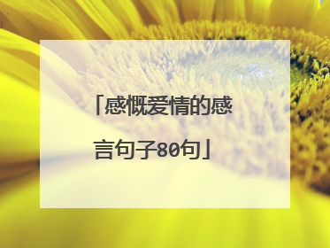 感慨爱情的感言句子80句