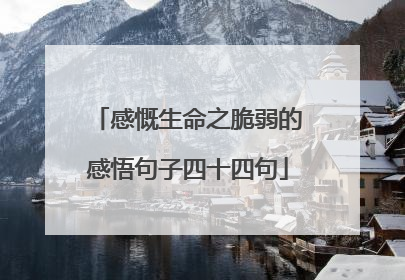 感慨生命之脆弱的感悟句子四十四句