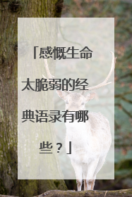 感慨生命太脆弱的经典语录有哪些？