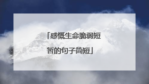 感慨生命脆弱短暂的句子简短