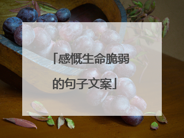 感慨生命脆弱的句子文案