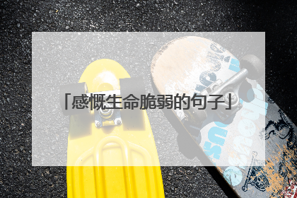 感慨生命脆弱的句子