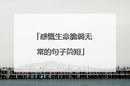 感慨生命脆弱无常的句子简短