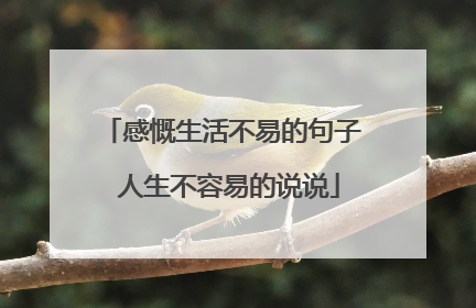 感慨生活不易的句子 人生不容易的说说