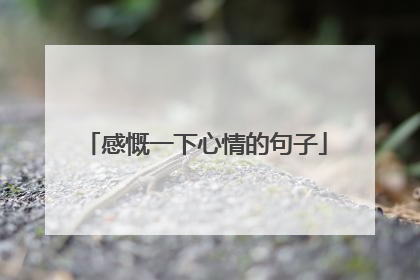 感慨一下心情的句子