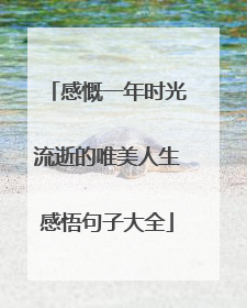 感慨一年时光流逝的唯美人生感悟句子大全