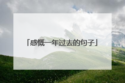 感慨一年过去的句子